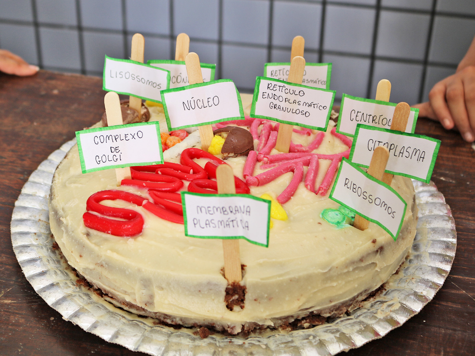 ATIVIDADE - MASTER CHEF CELULAR - 6º ANO - 26 E 27/04/2023