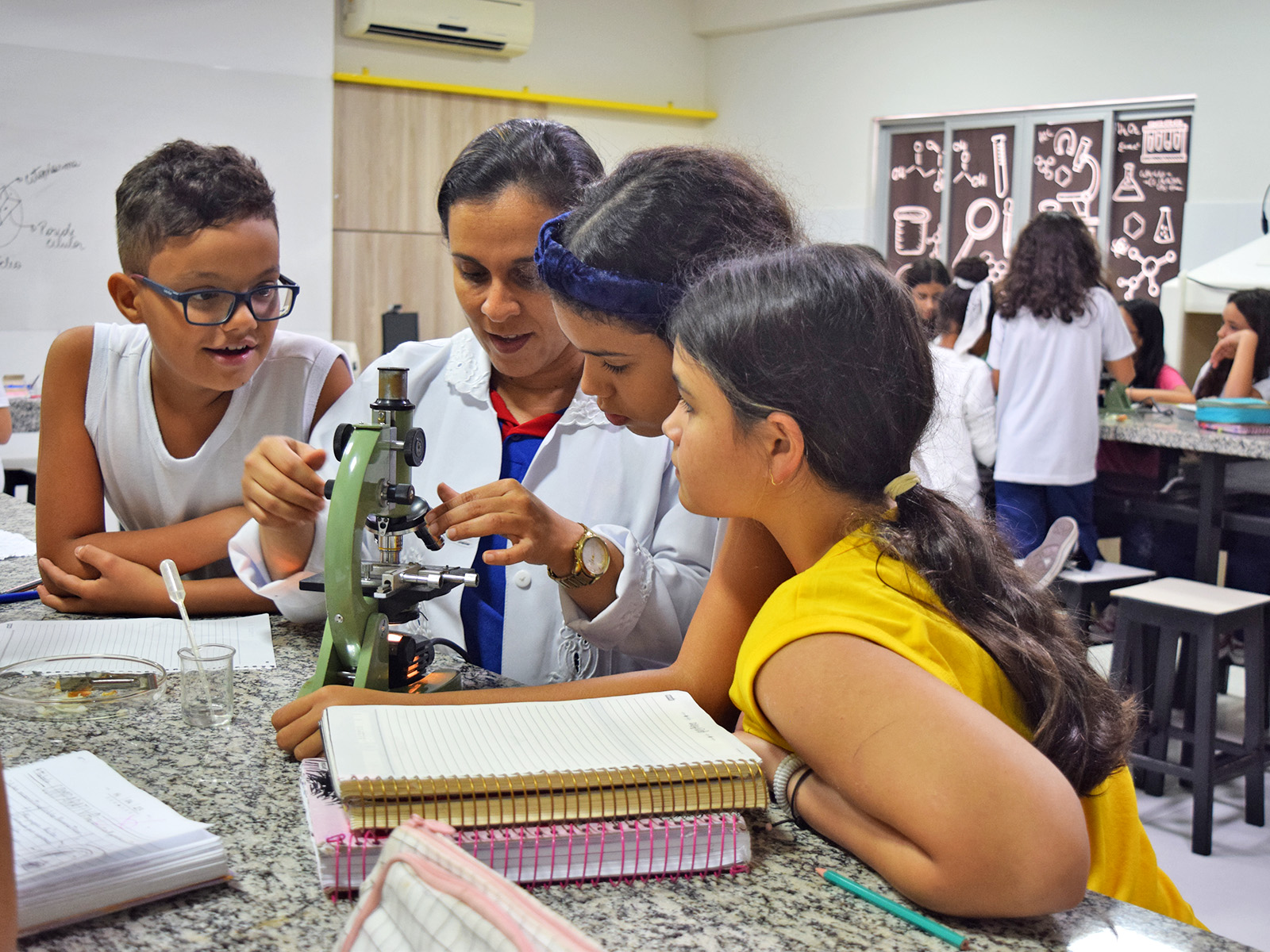 ESTUDO DAS CÉLULAS - EPIDERME DA CEBOLA - 6º ANO - 17 e 18/05/2023